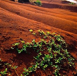 MOBA游戏《神之浩劫2》泄露 或者在本周末公布