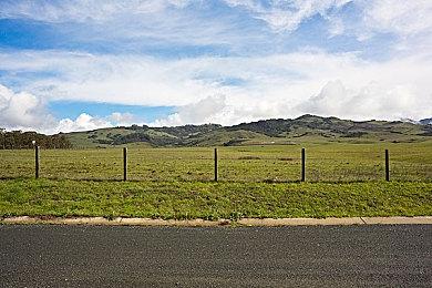 《星空》DLC多半差评 设计总监回应：大家期待太高了